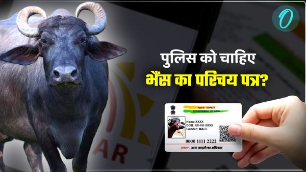 पुलिस ने कहा भैंस का आधार कार्ड लाओ, तभी दर्ज होगी FIR, एसपी ने दिए जांच के आदेश