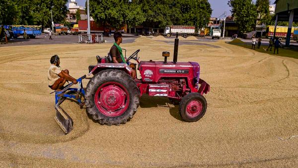 पंजाब के किसानों का कैसे बिकेगा धान? केंद्र सरकार ने राहत देने के लिए उठाया बड़ा कदम