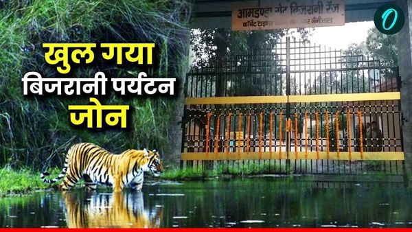 Jim Corbett National Park: खुल गया बिजरानी पर्यटन जोन, डे सफारी के साथ ही जानिए क्यों है पर्यटकों की पहली पसंद