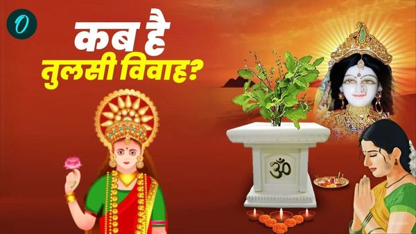 Tulsi Vivah 2024 Kab Hai: आज या कल, कब है तुलसी विवाह? क्या है पूजा मुहूर्त?