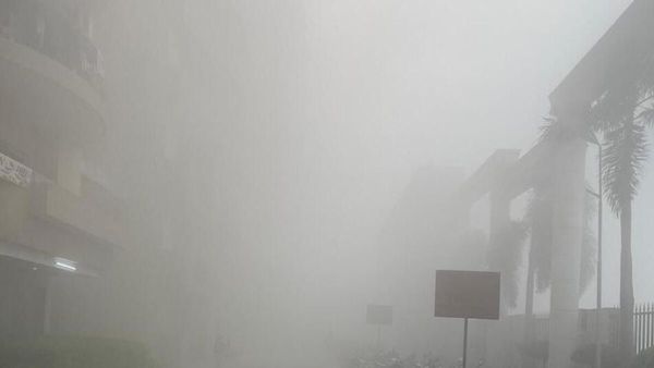 Smog का कहर: नोएडा में कम दृश्यता के कारण वाहनों की भिड़ंत, दो बाइक सवारों की मौत, दर्जनों घायल