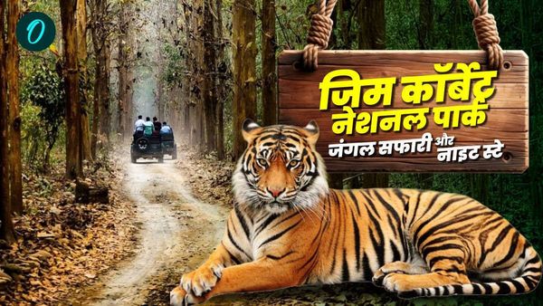 जिम कॉर्बेट नेशनल पार्क में जंगल सफारी और नाइट स्टे के लिए हो जाएं तैयार,खुल रहा ढिकाला जोन,कैसे करें बुक