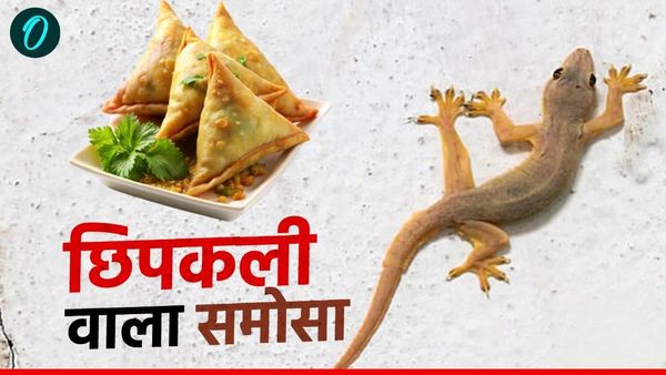 Rewa News: छिपकली वाला समोसा खाने से बच्चे की तबीयत बिगड़ी, इंटरनेट पर वायरल हुआ हैरान कर देने वाला वीडियो
