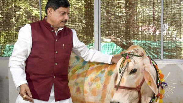 OPINION: गोवंश के कल्याण और उनके संरक्षण के प्रति समर्पित है मध्य प्रदेश सरकार
