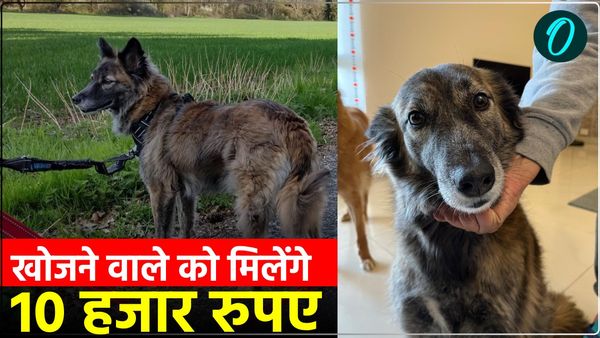 UP News: कीमती डॉग के साथ ताजमहल देखने आए थे पति-पत्नी, होटल में घटी ऐसी घटना, दो दिन से हैं परेशान