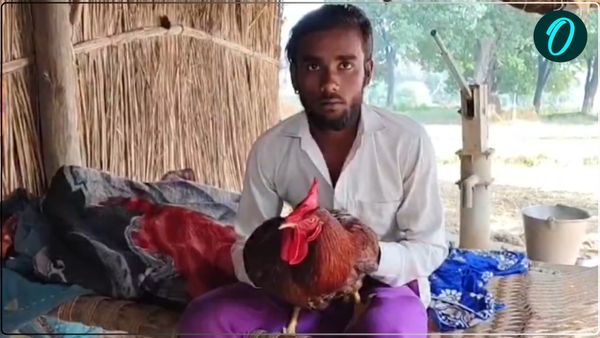 पड़ोसी ने मुर्गे को मारा तो पुलिस के पास पहुंचा शख्स, सजा की मांग पर अड़ा