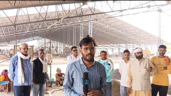 Satna News: धान के साथ खेल! इस तारीख से खरीद का ऐलान, फिर भी MSP को लेकर क्यों परेशान हैं सतना के किसान?