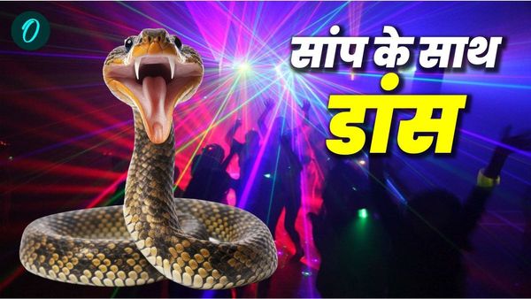 Bihar News: ज़हरीले सांप के साथ Live Show कर रहा था युवक, महज़ कुछ रुपयों के लिए जोखिम में डाली जान