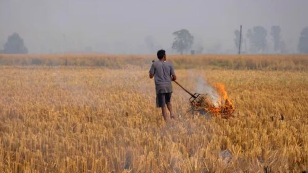 MP News: पराली जलाने वालों की फोटो अंतरिक्ष में खिंच रही, सेटेलाइट ने इस जिले के 223 किसान पकड़े