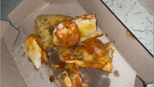 Satna: शाकाहारी परिवार ने मंगाया पनीर टिक्का गार्लिक ब्रेड, डोमिनोज ने भेज दिया नॉनवेज, थाने पहुंची शिकायत