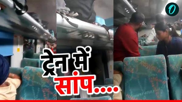 जनशताब्दी एक्सप्रेस ट्रेन में घुसा 'जहरीला सांप', अटैक मोड में आया तो यात्रियों ने खाली कर दी बोगी, Video