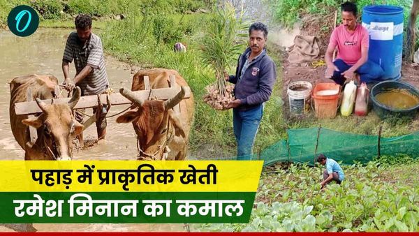 Success story: पहाड़ में प्राकृतिक खेती के मिशन में रमेश मिनान का कमाल,आइडिया ऐसे की हर कोई हो जाए हैरान