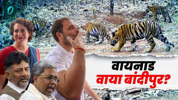 Wayanad Bypoll: क्या प्रियंका की जीत के लिए वन्यजीवों की जान जोखिम में डालेगी कर्नाटक सरकार?