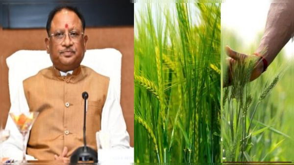 OPINION: सीएम विष्णुदेव साय ने किया नवाचार के लिए प्रेरित, 20 जिलों के किसान कर रहे हैं फोल्डस्कोप का उपयोग