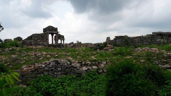 Picnic Spot Bihar: नये साल पर कम बजट में परिवार के साथ मनाना है पिकनिक, यादगार बन जाएगा 2025 की शुरुआत का पल