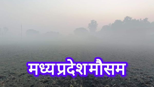 MP Weather: फेंगल तूफान का MP के मौसम पर क्या होगा असर? क्या होगी बारिश या बढ़ेगी शीतलहर, जानें सबकुछ