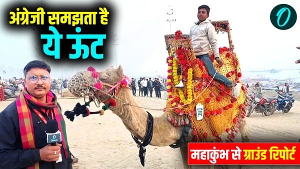 अंग्रेजी समझता है Camel? Maha Kumbh 2025 में ऊंट वाला लड़का क्यों हो रहा Viral, देखिए ग्राउंड रिपोर्ट