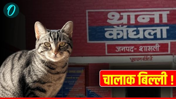 Clever Cat! थाने में चली घंटों पंचायत, फिर बिल्ली ने यूं खोज निकाला 'असली मालिक', चुटकियों में सुलझी समस्या