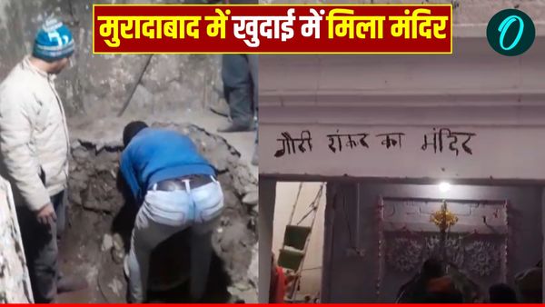 UP News: संभल के बाद अब मुरादाबाद में खुदाई के दौरान मिला मंदिर, शिवलिंग, नंदी और हनुमानजी की मूर्ति मिली 