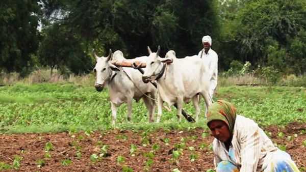 राजस्थान में पुलिस ने किसान को पहले आत्महत्या से बचाया, अब सुरक्षा के नाम पर थमा दिया 9.91 लाख का नोटिस