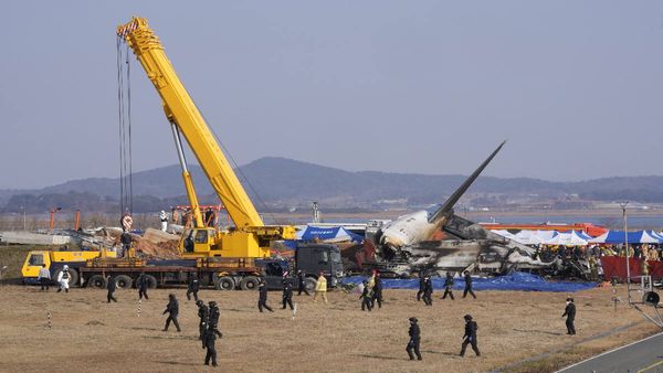 South Korea Plane Crash: पक्षी टकराने से विमान बना आग का गोला, दक्षिण कोरिया विमान हादसे पर वीडियो से दावा
