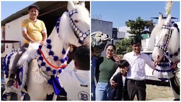 Indore News: तारक मेहता का उल्टा चश्मा' के अब्दुल ने शादी के लिए 5 लाख में बुक की अनोखी घोड़ी