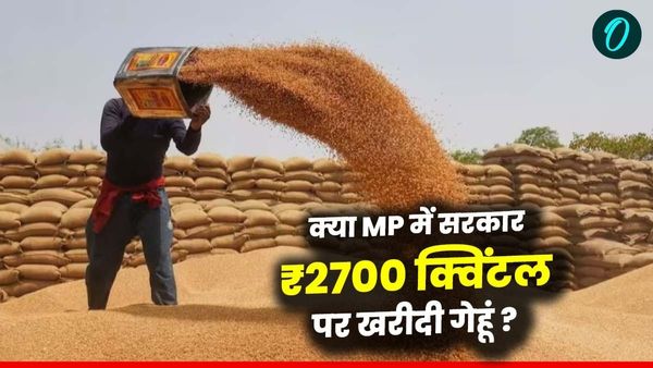 Bhopal MP News: भारतीय किसान संघ ने कलेक्टरों को सौंपा ज्ञापन, 2700 रुपए क्विंटल गेहूं खरीदने की उठाई मांग