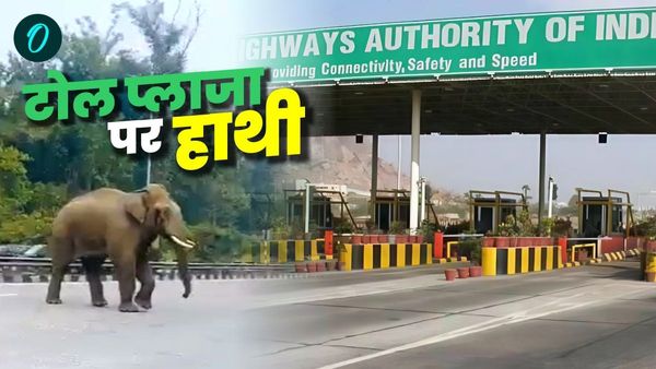 Dehradun news:हरिद्वार हाईवे पर लच्छीवाला टोल प्लाजा पर आ धमका हाथी, मची अफरा तफरी, फिर क्या हुआ, देखिए VIDEO