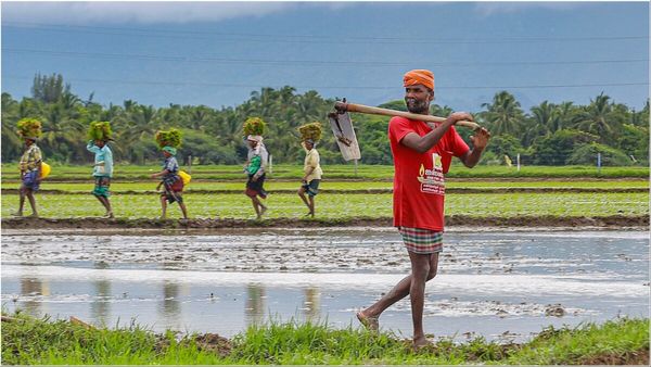 Budget 2025: कैसा होगा इस बार एग्रीकल्चर बजट? एक्सपर्ट से जानिए सरकार किन चीजों पर कर सकती है फोकस