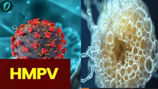 HMPV Virus: महाराष्ट्र में एचएमपीवी वायरस की एंट्री, नागपुर में दो बच्‍चे हुए संक्रमित, अस्‍तपाल में भर्ती
