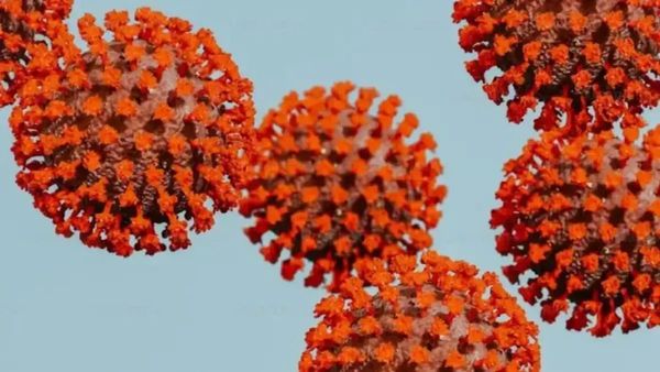 HMPV Virus: कर्नाटक में मिले दो केस, स्वास्थ्य मंत्री ने कहा- 'घबराने की कोई बात नहीं'