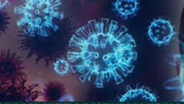 HMPV virus: गुजरात के तीन शहरों के सिविल अस्पतालों में बनाए गए आइसोलेशन वार्ड