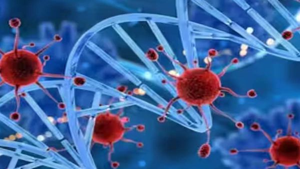 जम्मू कश्मीर में रहस्यमी वायरस, अब तक राजौरी में 14 लोगों की गई जान, सरकार ने भेजी टीम