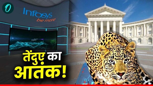 Leopard Terror: '5 के ग्रुप में निकलें, बेंच पर न बैठें, वर्क फ्रॉम होम करें', Infosys में तेंदुए का आतंक!