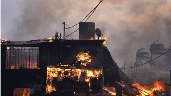 Los Angeles Fire: चंद लम्‍हों में खाक हो गई सालों की मेहनत! खिलाड़ी के घर में लगी आग में जले 10 ओलंपिक मेडल