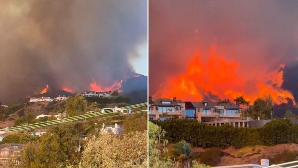 Los Angeles Wildfire: जंगल की आग घरों तक पहुंची, सैकड़ों मकान-गाडियां स्वाहा, खाली कराए गए कई इलाके
