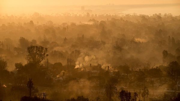 Los Angeles Wildfire: जंगल की आग ने मचाई ताबाली, लाखों लोग हुए बेघर, क्या हैं इस आपदा के ताजे हालात