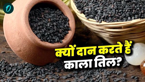  Makar Sankranti 2025: मकर संक्रान्ति पर क्यों करते हैं काले तिल का दान? शनिदेव से जुड़ा है राज
