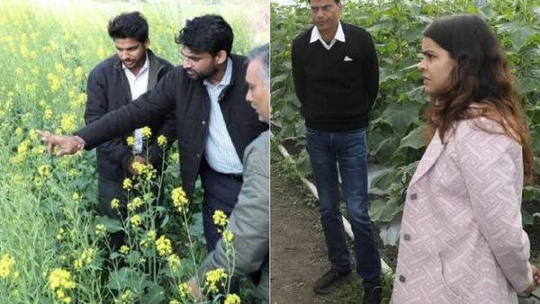 MP News: खेत में उतरे कलेक्टर, किसानों से जाना फसलों का हाल, इन जिलों में दिखा एक्टिव अंदाज