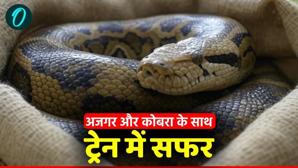 UP News: महाबोधि एक्सप्रेस में जहरीले सांपों के साथ सफर कर रहे थे यात्री, देखते ही थम गई सांसें