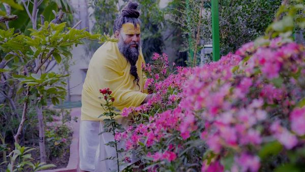 प्रेमानंद महाराज जी के बारे में टॉप-10 सवालों के जवाब, दर्शनों से लेकर दीक्षा तक की पूरी जानकारी