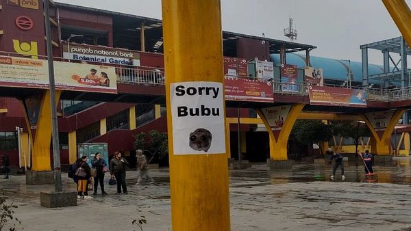 SORRY BUBU Kya Hai: रहस्यमयी 'सॉरी बुबु' पोस्‍टर का क्‍या मतलब? इश्‍क में माफीनामा या फिर कोई खुफिया संदेश?