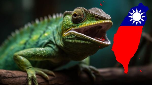 Taiwan का सिरदर्द क्यों बने 120,000 हरे Iguana? अब खात्मे के लिए बनाई योजना, जानें कितना रखा है इनाम?