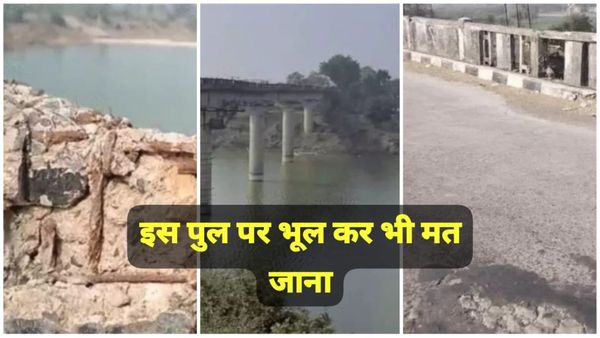 पार्वती ब्रिज: 49 साल पुराना पुल अब कैसे बना खतरे का कारण, जानिए, यातायात बंद, वैकल्पिक रास्ते की योजना