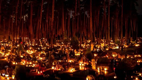 Bihar News: कब्र से लाश की जगह निकली शराब की बोतलें, पुलिस भी रह गई हैरान, जानिए पूरा मामला