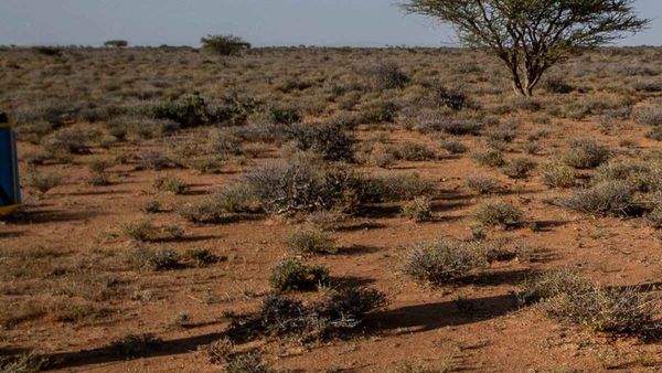 Bihar Land Survey News: अब क्यों रुका भूमि सर्वेक्षण!, ऑनलाइन दस्तावेज़ नहीं कर सकेंगे जमा, करने होंगे ये काम