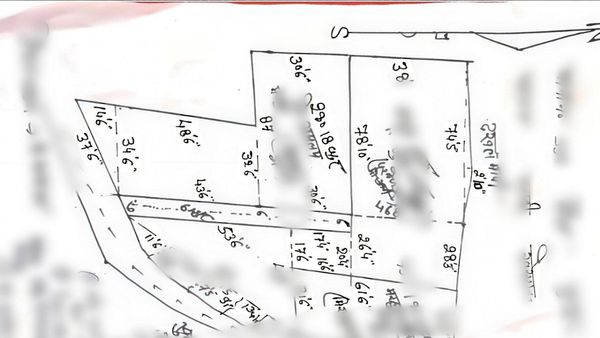 Bihar Land Survey: बिहार में अब गांव ही नहीं शहर की ज़मीन का भी होगा सर्वे, जानिए क्या होगी प्रक्रिया?