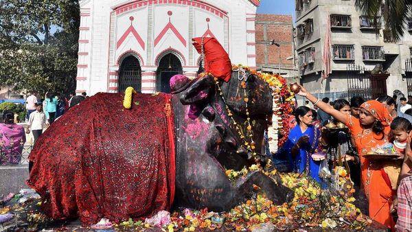 Mahashivaratri: महाशिवरात्रि पर केतकी के फूल की बढ़ी मांग, भक्तों की भीड़ के बीच 1000 रुपए तक बिके