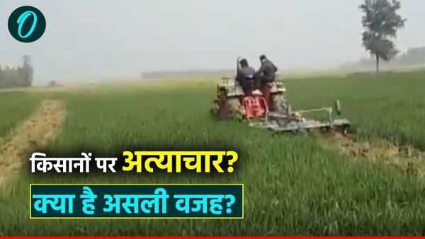 Saharanpur News: 12 बीघा गेहूं की खड़ी फसल को करा दिया बर्बाद! DM के आदेश के पीछे क्या है असली वजह?