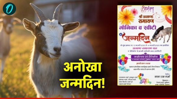 Goat Birthday: हरदोई में धूमधाम से मनाया गया बकरियों का जन्मदिन, जानिए लालाराम किसान की दिलचस्प कहानी
